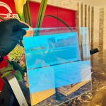 Premium Optical Dichroic Glass (Iridescent Glass) | North One Glass